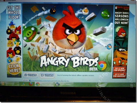 Do you play Angry Birds