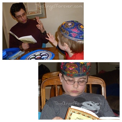 Seder Learning and Reading