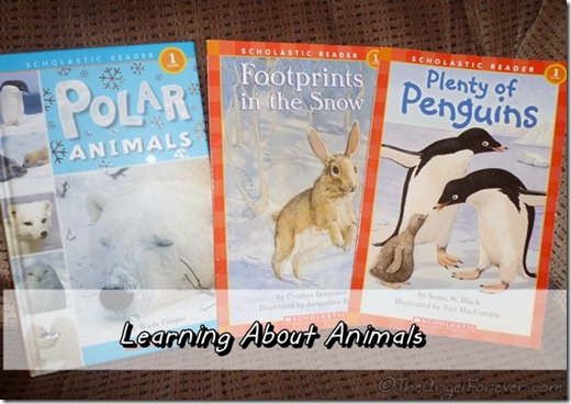 Early Reader about Animals